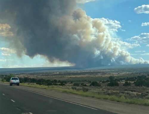 Apache County Dems Help Victims of the Oak Ridge Fire